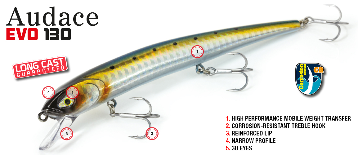 Audace-EVO-130